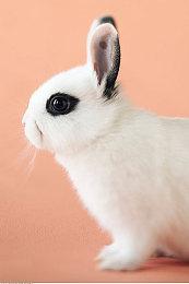 微软发Q3财报：游戏收入增长6% 超过37亿美元